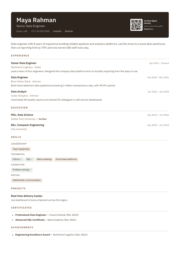 Preview of the Professional CV template